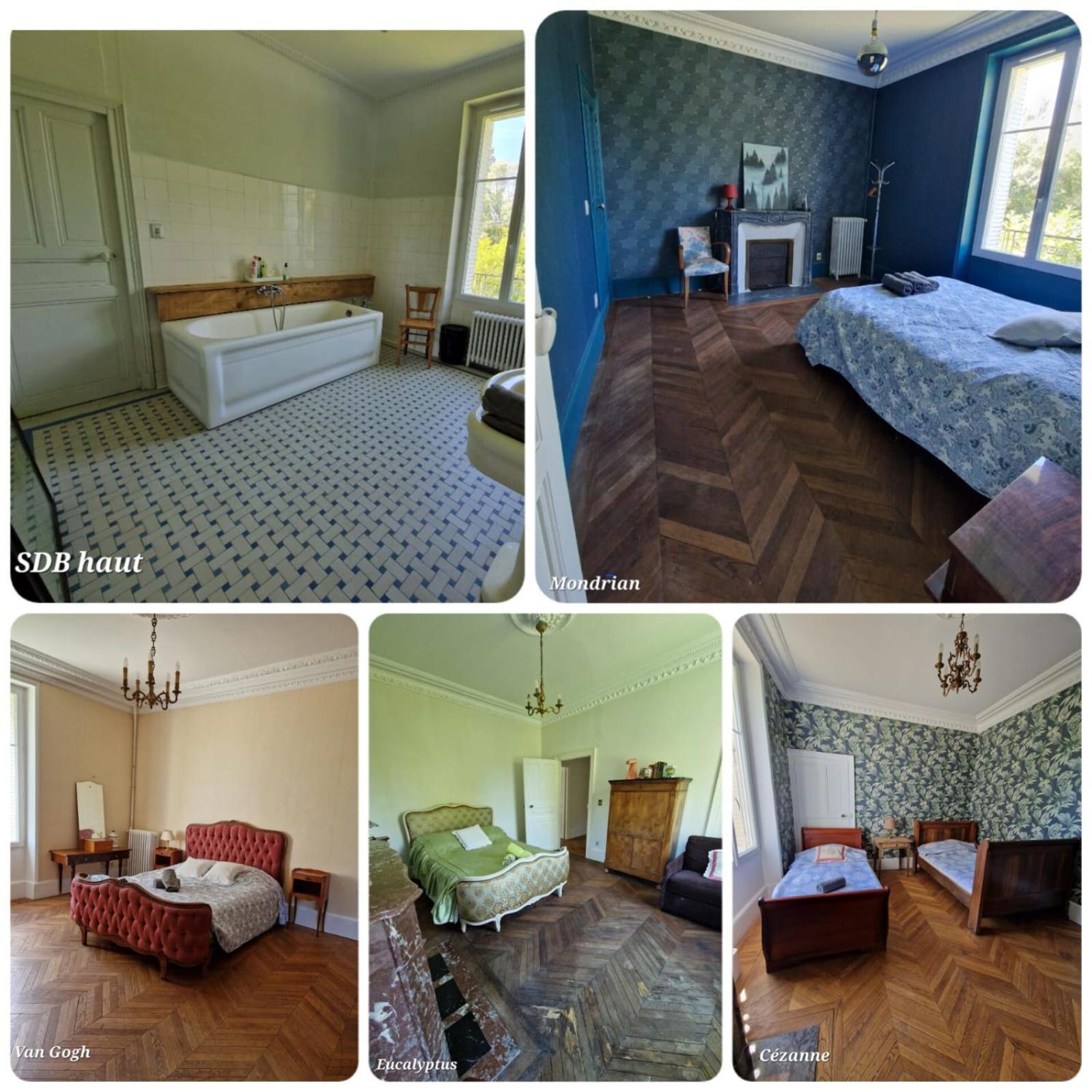 Gite Manoir Du Moulin Pres Du Zoo De Beauval Et Les Chateaux De La Loire Chabris Buitenkant foto
